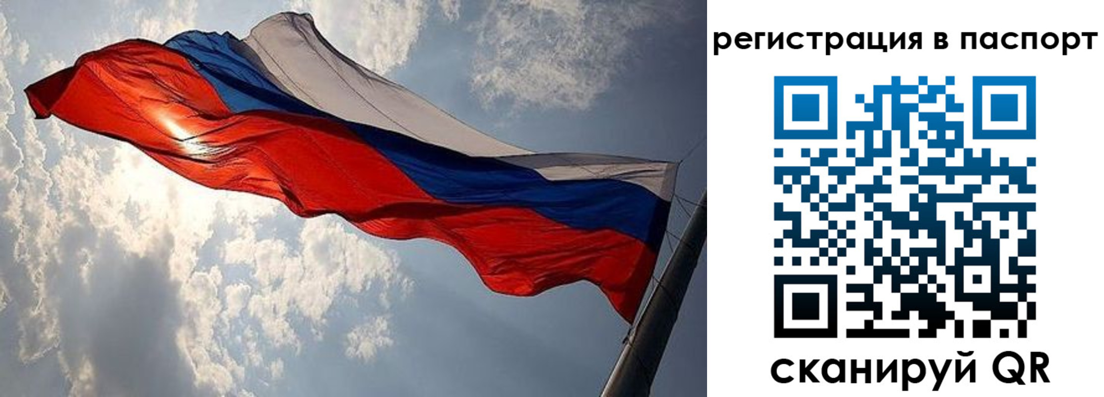 временная регистрация для всех в Гатчине